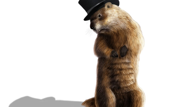 Groundhog