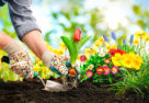 Woman gardening